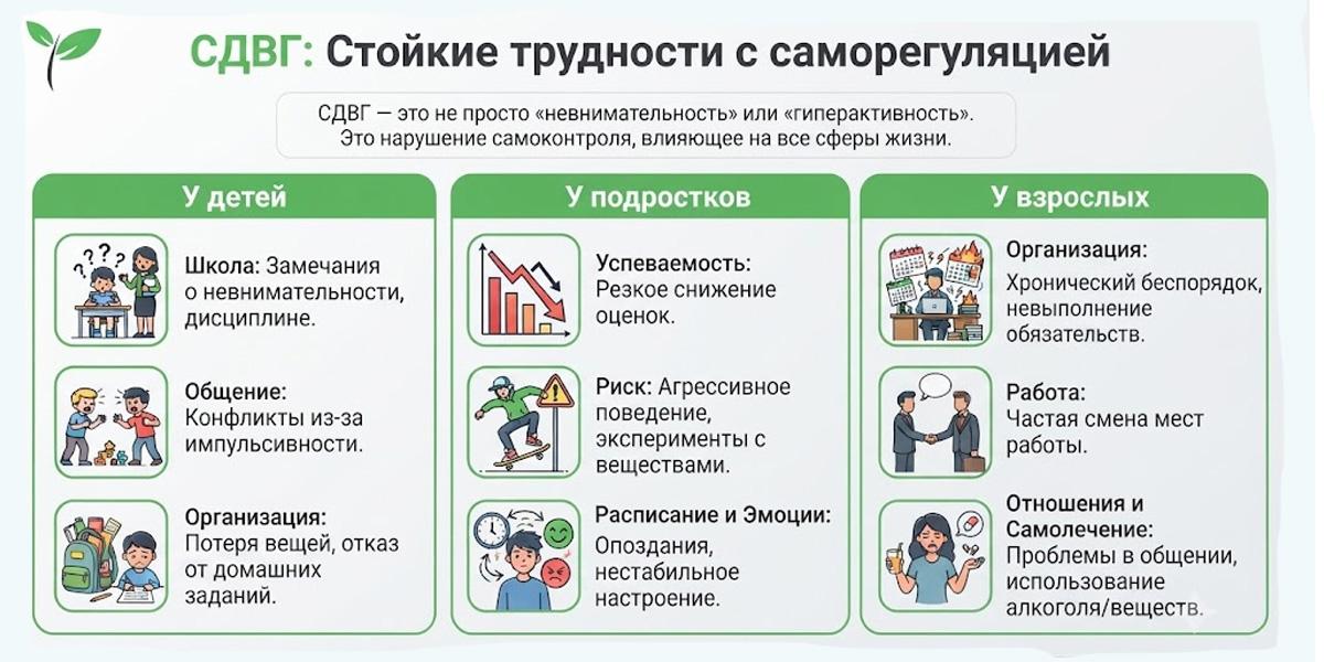Инфографика о проявлениях СДВГ у детей, подростков и взрослых: трудности с саморегуляцией, успеваемостью, организацией и поведением.